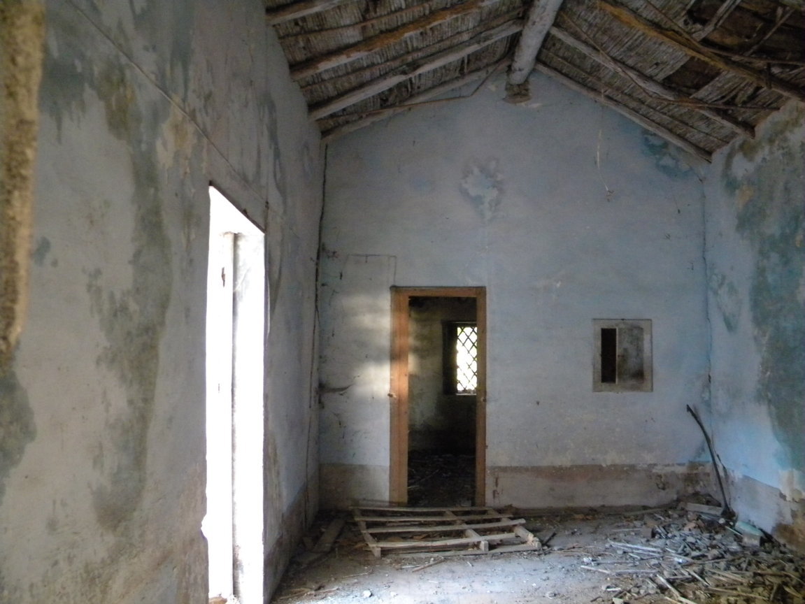 DSCN8005 .JPG